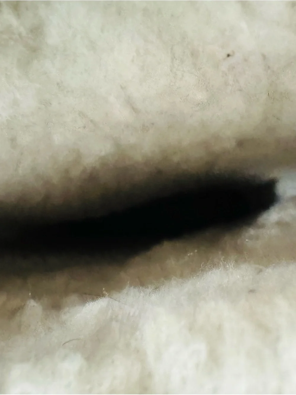 Koolaburra tall suede